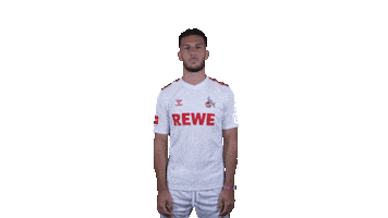 1 Fc Cologne Football Sticker by 1. FC Köln