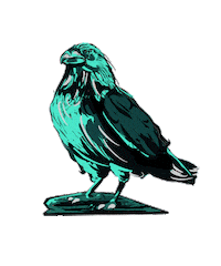 Bird Raven Sticker by Assassin's Creed