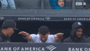 Bow Down New York Yankees GIF by MLB