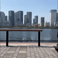 AmazingOTO run running amazing training GIF