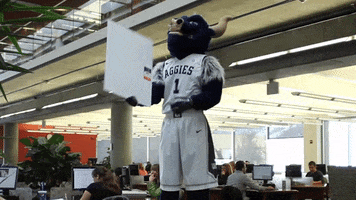 bigblue GIF by Utah State University