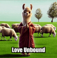Compassion Love GIF by dalaillamazen