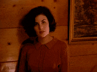 twin peaks GIF by Twin Peaks on Showtime