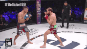 david rickels fight GIF by Bellator