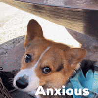 Anxious GIF