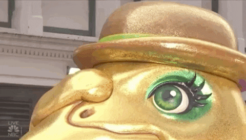 Macys Parade Turkey GIF by The 96th Macy’s Thanksgiving Day Parade