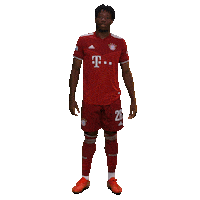 fcbayerncampus football soccer fussball fcb Sticker