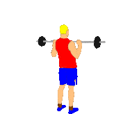 Sport Running Sticker