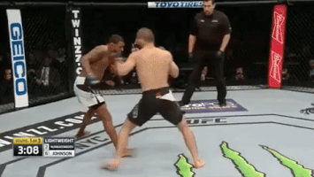 ufc 205 GIF