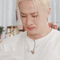 Cry Stray Kids GIF