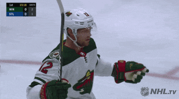 ice hockey love GIF by NHL