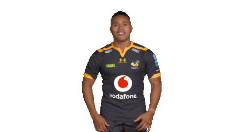 Rugby Sticker by Wasps