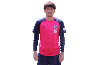 Cerezo Sticker by セレッソ大阪