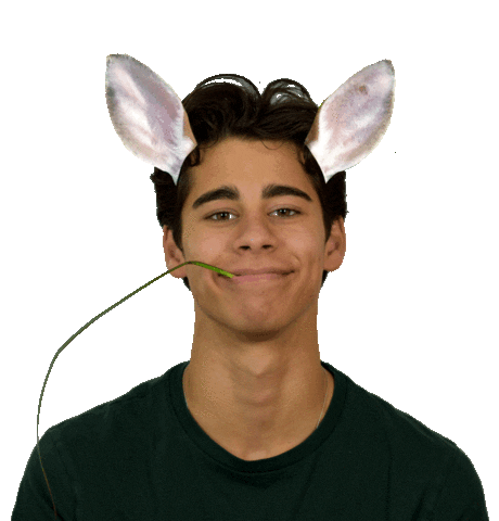 Alecmcgarry Jamesthesalmon Sticker by New Rules