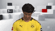Its Me Hello GIF by Bundesliga