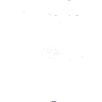 Champions League Respect Sticker by LSK Kvinner FK