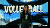 Wave Volleyball GIF by GreenWave
