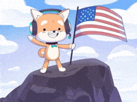 American Usa GIF by WUFFI