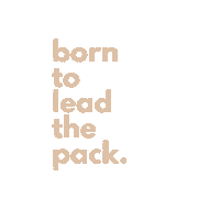 wolfiekids wk wolfies wolfiekids borntoleadthepack Sticker