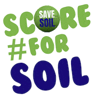 Qatar 2022 Football Sticker by Save Soil