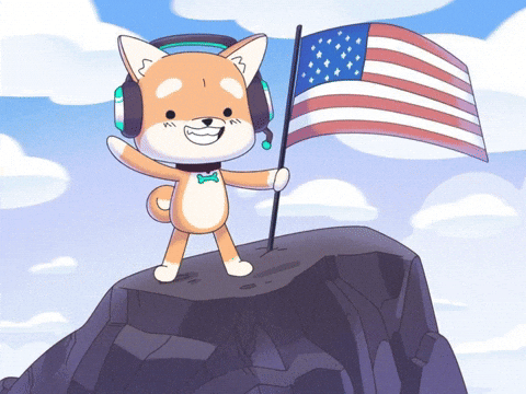 American Usa GIF by WUFFI