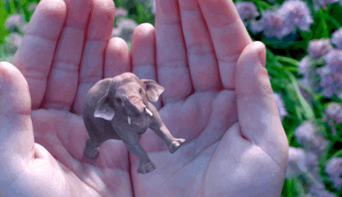 hands elephant GIF