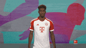 Fc Bayern GIF by Bundesliga
