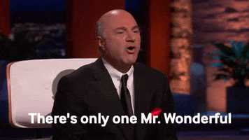 Mr Wonderful Kevin O Leary GIF by ABC Network