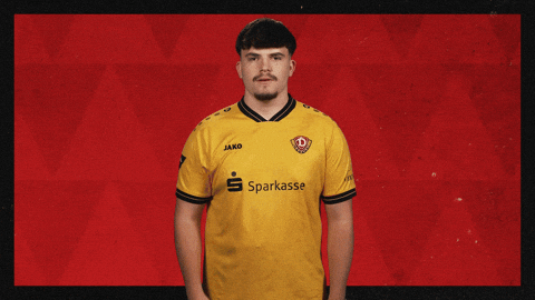 Dynamo Dresden Football GIF by Bundesliga