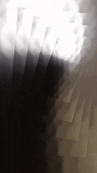 FOAIDIndia  GIF