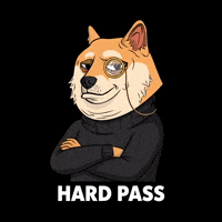 Shiba Inu No GIF by Doge Pound