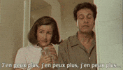 french lol GIF