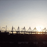 Football Soccer GIF by Widzew Łódź