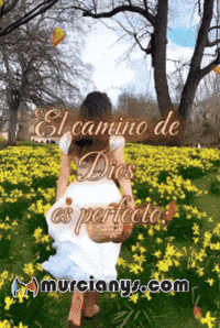 El Camino Feliz GIF by Murcianys LLC