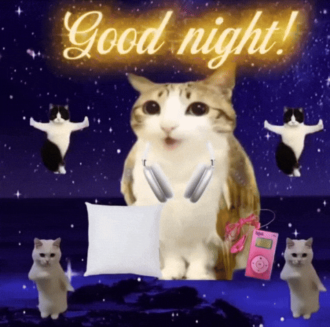 Good Night Cat GIF