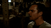 jake johnson fox GIF by New Girl