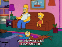 Season 2 Episode 13 GIF by The Simpsons