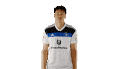 Football Yes Sticker by HSV
