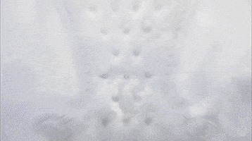 Earth Planet GIF by Xbox