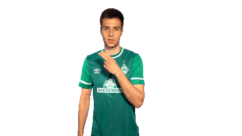 Fussball Sticker by SV Werder Bremen