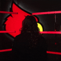University Of Louisville Swimming GIF by Louisville Cardinals