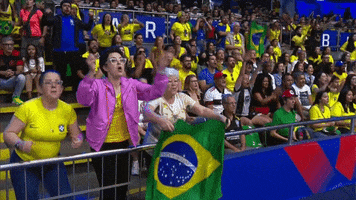 Flag Celebrate GIF by Volleyball World