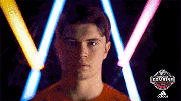 nhl sports sport hockey nhl GIF