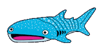 Whale Shark Ocean Sticker by Carawrrr