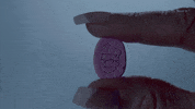 are224 GIF by truTV’s Adam Ruins Everything