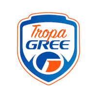 Gree Sticker by GreeBrasil