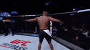 ufc 212 GIF