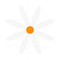 Flower Flores Sticker
