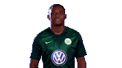 valentines day love Sticker by VfL Wolfsburg