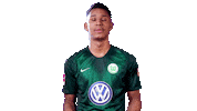 Swipe Up Felix Uduokhai Sticker by VfL Wolfsburg
